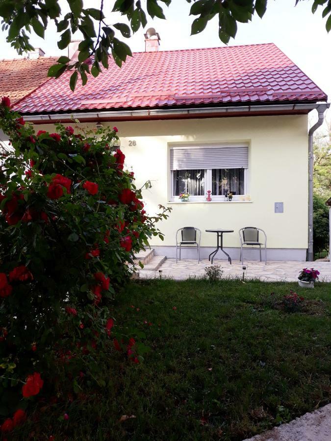 Gospic Riverside Apartment Экстерьер фото
